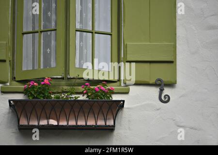 Olivgrünes Holzfenster mit Fensterläden über einem Blumentopf mit Geranien an einer weißen Stuckwand in Carmel-by-the-Sea, Kalifornien, USA. Stockfoto