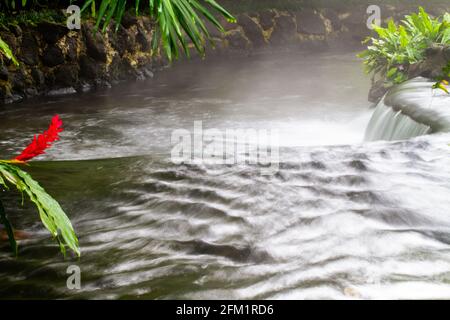 Thermalwasser-Pools und nicht gepumpte (frei fließende) Thermalquellen-Flüsse am Fuße des Vulkans Arenal, in der Nähe von La Fortuna, Costa Rica Stockfoto