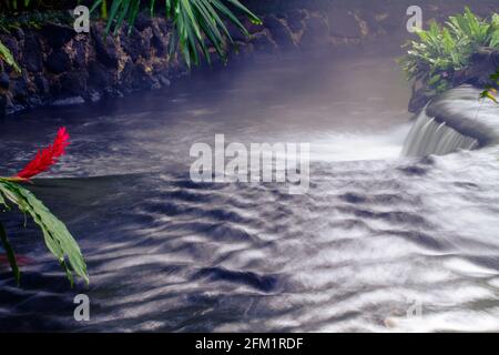 Thermalwasser-Pools und nicht gepumpte (frei fließende) Thermalquellen-Flüsse am Fuße des Vulkans Arenal, in der Nähe von La Fortuna, Costa Rica Stockfoto