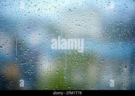 Viele Tropfen auf das Fenster, nasses Glas bei starkem Regen, als Textur oder Hintergrund Stockfoto
