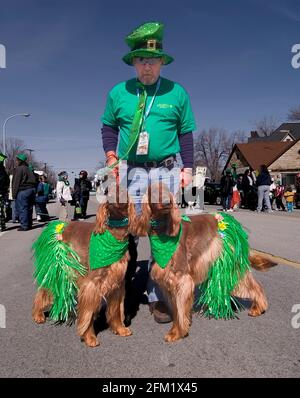 Aktivitäten bei einer Saint Patrick's Day Parade in Port Huron, Michigan männlich mit irischen Settern in Grün gekleidet Stockfoto