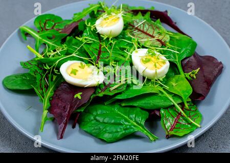 Wachteleier, gekocht auf einem Salatblatt mit mikrogrünen Sprossen. Richtige Ernährung. Vegane Küche. Stockfoto