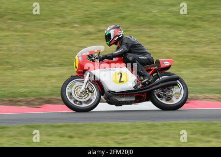 Annäherung an den Schwanenhals auf einer 500 ccm MV Agusta 4 AT Cadwell Park International Classic im Juli 2015 Stockfoto