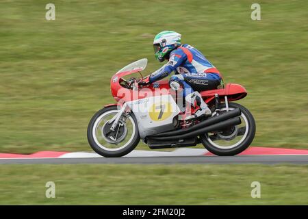 Gary Johnson fährt auf der MV Agusta 500 '3' beim Cadwell International Classic, Juli 2015 Stockfoto