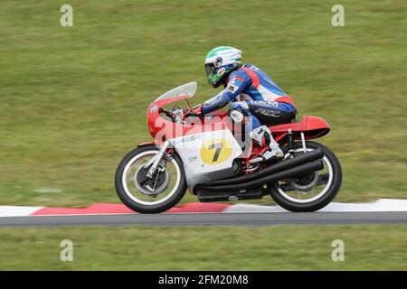 Gary Johnson fährt auf der MV Agusta 500 '3' beim Cadwell International Classic, Juli 2015 Stockfoto