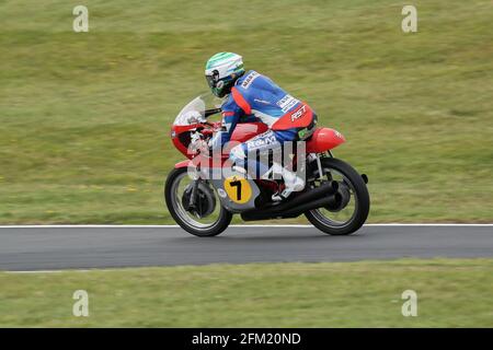 Gary Johnson nähert sich dem Goioseneck mit der MV Agusta 500 '3' beim Cadwell Park International Classic, Juli 2015 Stockfoto