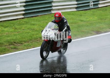 Gary Thwaites fährt im Regen an Bord der 750 ccm Triumph Trident beim Cadwell International Classic im Juli 2015 Stockfoto