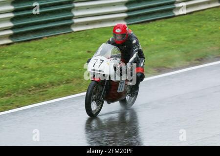 Gary Thwaites fährt im Regen an Bord der 750 ccm Triumph Trident beim Cadwell International Classic im Juli 2015 Stockfoto