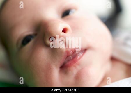 Nahaufnahme eines niedlichen zwei Wochen alten Babys Stockfoto