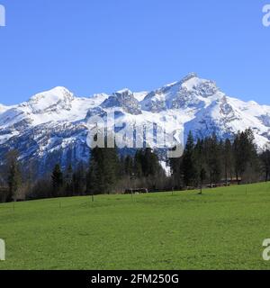 Schneebedeckte Bergkette im Saanenland-Tal. Stockfoto