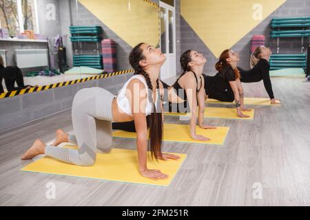 Frauen trainieren in Stretching-Klasse, tun Katze Kuh Pose Übung Stockfoto