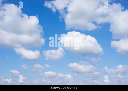 Cumulus Wolken in einem blauen Himmel mit weißen flauschigen Wolken Hintergrund weiße Wolken blauer Himmel weiße Wolken nur uk Stockfoto