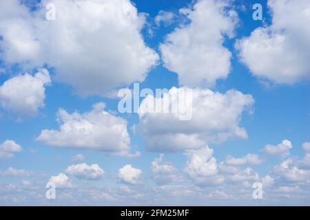 Cumulus Wolken in einem blauen Himmel mit weißen flauschigen Wolken Hintergrund weiße Wolken blauer Himmel weiße Wolken nur uk Stockfoto