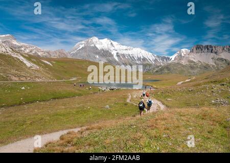 Wandern am Plan du Lac mit dem Berg Grande Casse im Hintergrund, Nationalpark Vanoise, Savoie (73), Region Auvergne-Rhone-Alpes, Frankreich Stockfoto