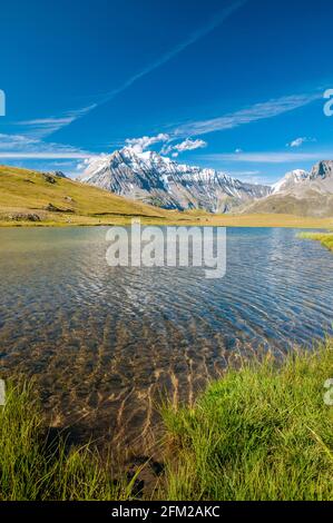 Plan du lac und La Grande Casse (3855M), Nationalpark Vanoise, Savoie (73), Region Auvergne-Rhone-Alpes, Frankreich Stockfoto