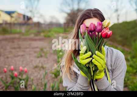 Gärtner hält Bouquet von frischen Tulpen im Frühlingsgarten. Junge Frau versteckt Gesicht hinter Blumen Stockfoto