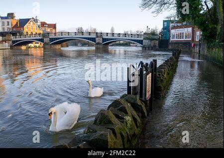 Windsor, Großbritannien. Februar 2021. Der überflutete Fußweg neben der Themse. Der Wasserstand auf der Themse in Windsor ist viel höher als sonst. Auf der Themse auf der Windsor & Eton-Strecke in der Grafschaft Bekshire bleibt ein Hochwasser-Warnhinweis erhalten, nachdem in den letzten Tagen heftige Regenfälle anhäuften. Die Flutlinderung des Jubliee-Flusses ist in Betrieb und nimmt überschüssiges Flutwasser aus der Themse auf und schützt Häuser vor Überschwemmungen. Quelle: Maureen McLean/Alamy Stockfoto