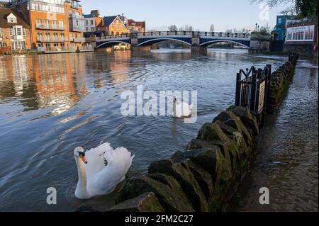 Windsor, Großbritannien. Februar 2021. Der überflutete Fußweg neben der Themse. Der Wasserstand auf der Themse in Windsor ist viel höher als sonst. Auf der Themse auf der Windsor & Eton-Strecke in der Grafschaft Bekshire bleibt ein Hochwasser-Warnhinweis erhalten, nachdem in den letzten Tagen heftige Regenfälle anhäuften. Die Flutlinderung des Jubliee-Flusses ist in Betrieb und nimmt überschüssiges Flutwasser aus der Themse auf und schützt Häuser vor Überschwemmungen. Quelle: Maureen McLean/Alamy Stockfoto