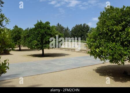 IRVINE, KALIFORNIEN - 1. MAI 2021: Der Orange Grove auf dem Jeffrey Open Space Trail. Stockfoto