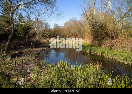 Hampshire, England, Großbritannien. 2021. Der River Test in der Nähe von Stockbridge im ländlichen Hampshire. Ein weltberühmter Kreidestrom, der für Fliegenfischen bekannt ist. Stockfoto