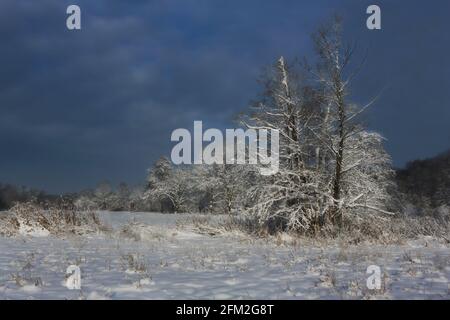 Winterbaum und Winterlandschaft mit Eis und Schnee und Reif Stockfoto