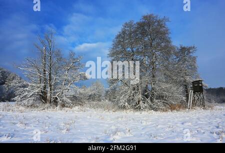 Winterbaum und Winterlandschaft mit Eis und Schnee und Reif Stockfoto