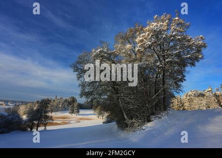 Winterbaum und Winterlandschaft mit Eis und Schnee und Reif Stockfoto