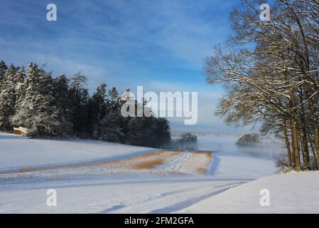 Winterbaum und Winterlandschaft mit Eis und Schnee und Reif Stockfoto