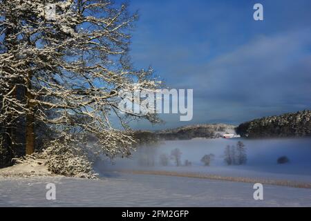 Winterbaum und Winterlandschaft mit Eis und Schnee und Reif Stockfoto