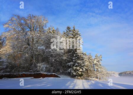 Winterbaum und Winterlandschaft mit Eis und Schnee und Reif Stockfoto