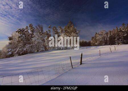 Winterbaum und Winterlandschaft mit Eis und Schnee und Reif Stockfoto