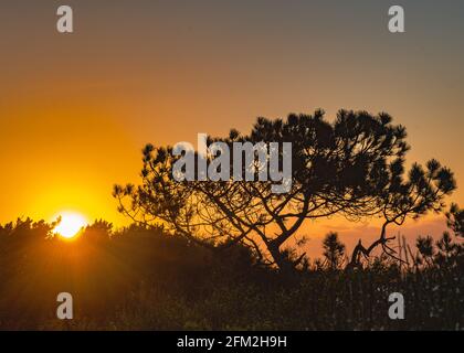 Strandhütten in Mudespit am Hengitsbury Head, Dorset Stockfoto