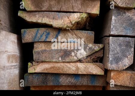 Allgemeine Ansichten des Weald & Downland Living Museum in Singleton, Chichester, West Sussex, Großbritannien. Stockfoto