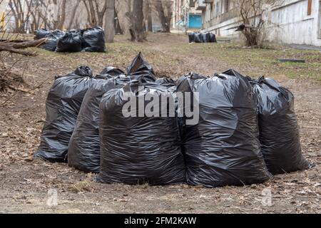 Mehrere schwarze Müllsäcke auf dem Boden, die dem Müllabfuhr-Service übergeben werden. Müllabfuhr auf den Straßen der Stadt. Saisonale Reinigung o Stockfoto