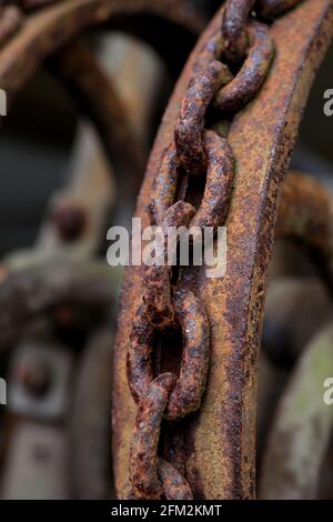 Allgemeine Ansichten des Weald & Downland Living Museum in Singleton, Chichester, West Sussex, Großbritannien. Stockfoto