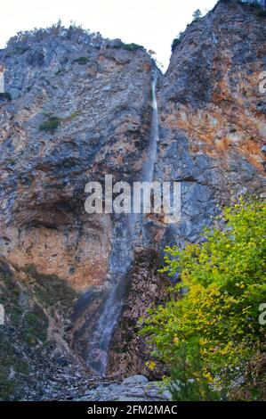Vertikale Aufnahme der Rinka-Fälle im Logar-Tal In Slowenien mit hellen Bäumen Stockfoto