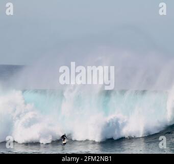 SYDNE, AUSTRALIEN - 25. Mai 2016: Australischer Surfer, der am Coogee Beach zwischen den Stränden Bondi und Maroubra südlich von Sydney EINE riesige Welle absteigt Stockfoto