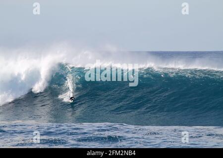 SYDNE, AUSTRALIEN - 25. Mai 2016: Australischer Surfer, der am Coogee Beach zwischen den Stränden Bondi und Maroubra südlich von Sydney EINE riesige Welle absteigt Stockfoto