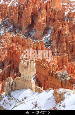 Schnee auf Hoodoos vom bryce Point aus im bryce Canyon National Park, utah Stockfoto