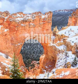 Schnee auf einer natürlichen Brücke (Bogen) im bryce Canyon National Park, utah Stockfoto