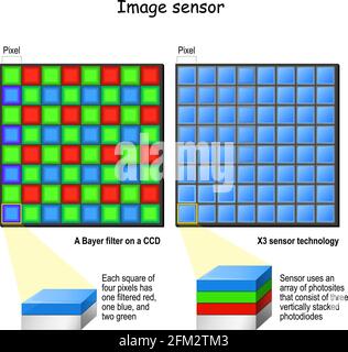 X3-Sensortechnologie und Bayer-Filter auf einem CCD. Vergleich und Unterschiede. Querschnitt eines Pixels, Fotodioden. Vektorgrafik Stock Vektor