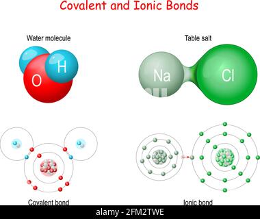 Ionische vs. Kovalente Anleihen. In einer ionischen Bindung wird ein Elektron gespendet. In einer kovalenten Bindung wird das Elektron geteilt. Beispiele für Verbindungen mit ionischen Bindungen Stock Vektor