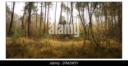 Wildschweinjagd in 'CHASSE DE LA LOIRE' in Frankreich....Chefkoch von Caprice Holdings Ltd. Mark Hix auf einem Jagdausflug nach Chasse de la Loire, Gastgeber Niels Bryan-Low führt Mark durch den Wald auf der Suche nach Wildschwein.pic David Sandison 2/3/2003 Stockfoto