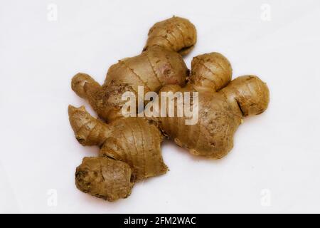 Frische Ingwerwurzel auf weißem Hintergrund Stockfoto