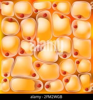 Adipozyten oder Fettzellen. Medizinischer Hintergrund von Fettgewebe. Vektorgrafik Stock Vektor