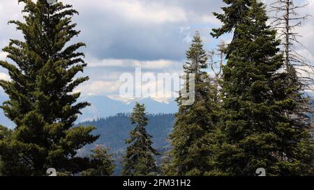 Blick auf Kaliforniens südliche Sierra Nevada Berge vom Generals Hwy Auf dem Weg zum Sequoia National Park Stockfoto