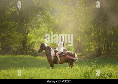 Schöne Frau, die auf einer Wiese auf einem Pferd reitet, Thailand Stockfoto