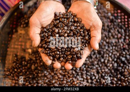 Ansicht von oben eines Mannes, der geröstete Kaffeebohnen in sich hält Seine Hände Stockfoto