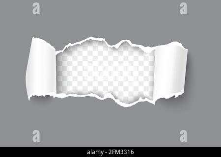 Realistisches Vektorgrafikpapier mit aufgerollten Seiten und Platz für Text auf transparentem, horizontalem Hintergrund. Zerrissene Papierstreifen mit abgerissenen Kanten. Stock Vektor