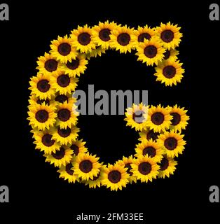 Großbuchstabe G aus gelben Sonnenblumen Blumen isoliert auf schwarzem Hintergrund. Design-Element für Love Concepts Designs. Ideal für Muttertag und s Stockfoto